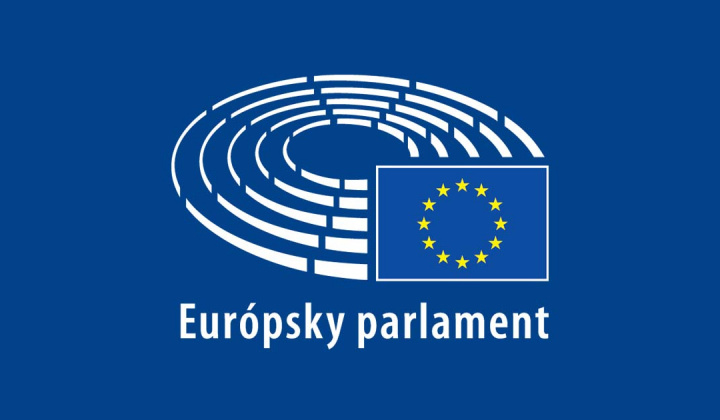 Fotka - Voľby do Európskeho parlamentu na území Slovenskej republiky - Informácie pre voliča